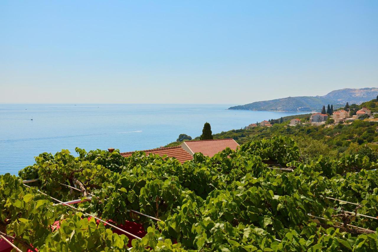 Apartman Ani Mlini Buitenkant foto